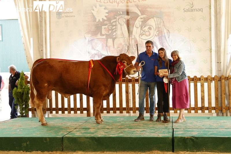 La subasta de los mejores ejemplares de Salamaq clausura la feria