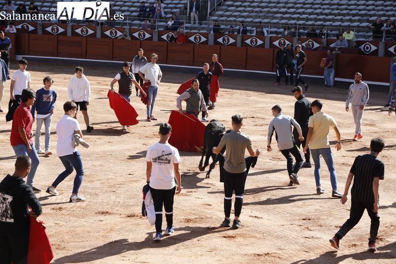 Gran expectación en la primera suelta popular de vaquillas en La Glorieta