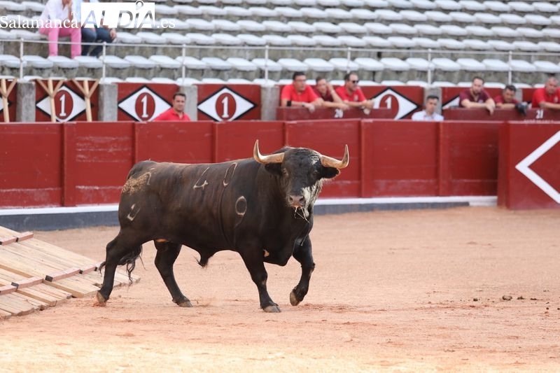 Vellosino se lleva la palma en el tradicional desenjaule