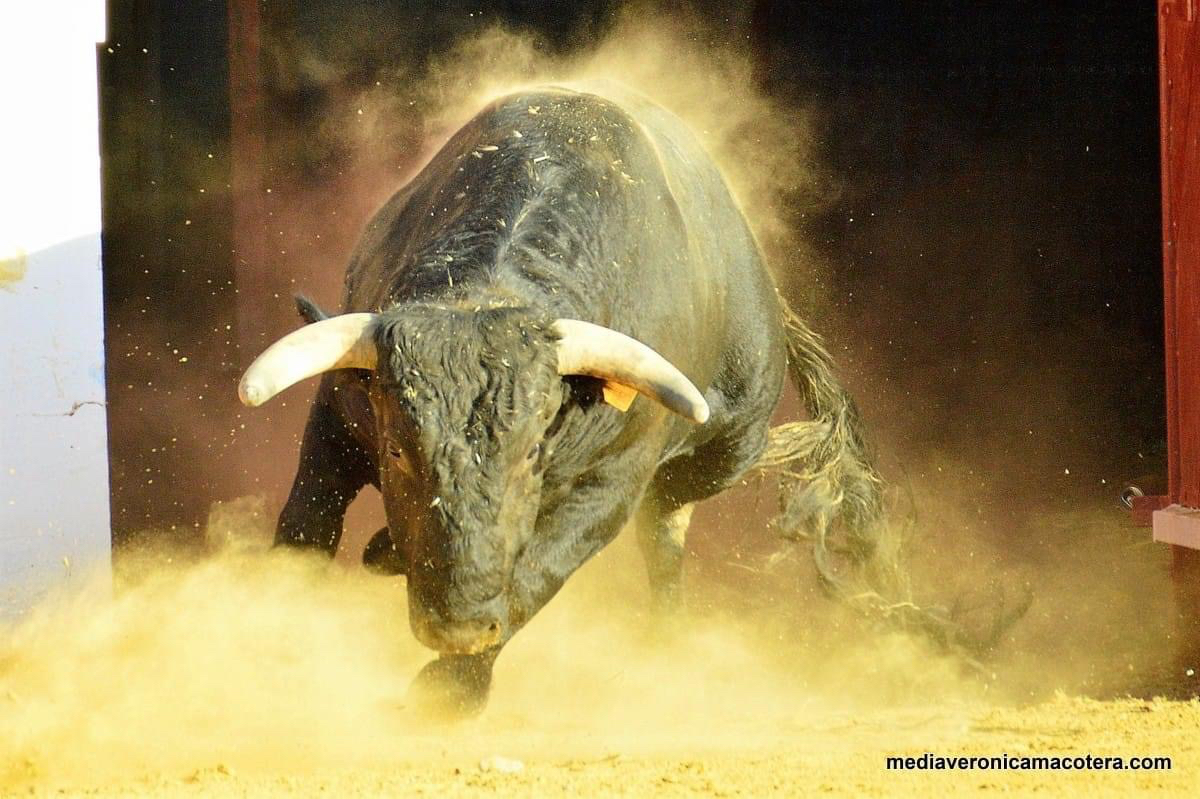La fotografía ‘Arrasando’ de Braulio Hernández, se lleva el VIII Concurso de la asociación Media Verónica de Macotera