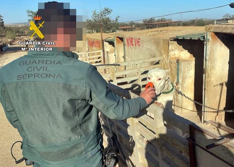 Investigado en Badajoz por cortar las orejas a 26 perros