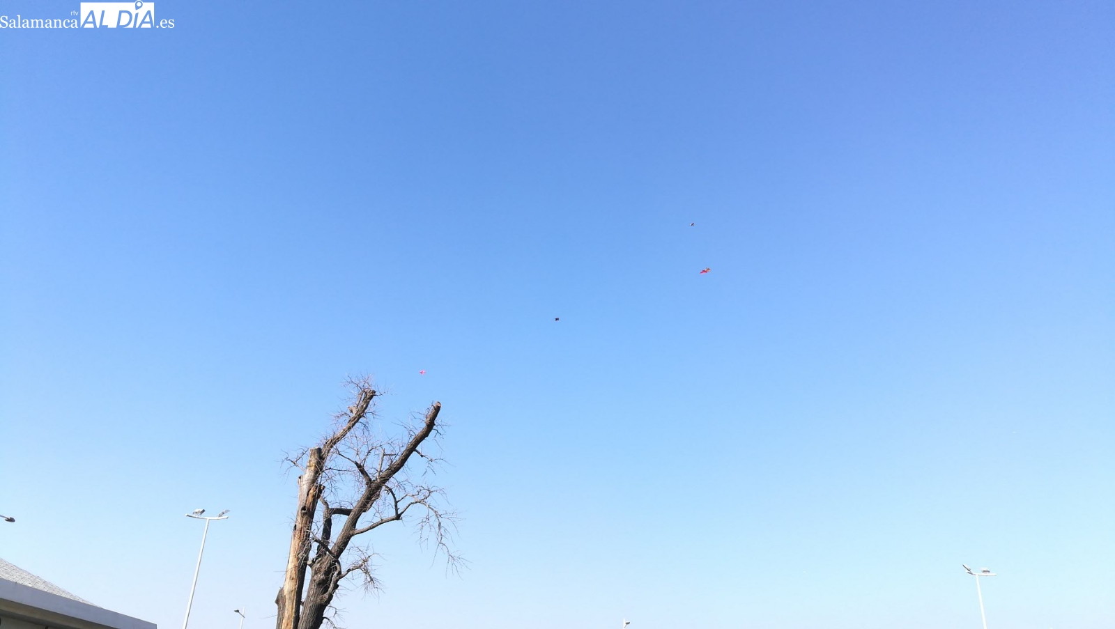 El poeta viaja en autobús con su mamá y escribe sin papel ni lápiz el poema de la columna