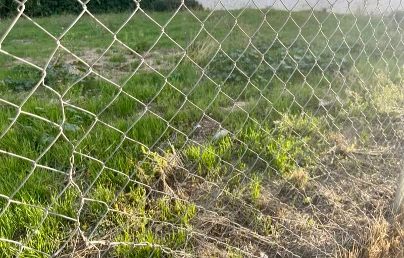 Peñaranda en Común reclamará en el próximo Pleno la modificación de la ordenanza municipal de limpieza y vallado de solares