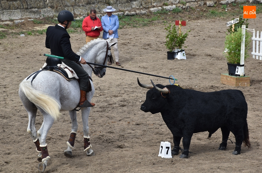 El sol reaparece en una mañana dominical animada por los alumnos de Rebeca Garvía
