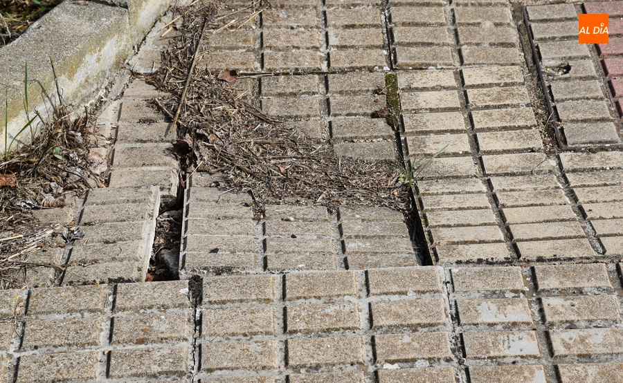 Reclaman una puesta a punto del puente (y sus aledaños) que conduce a Santa Marina