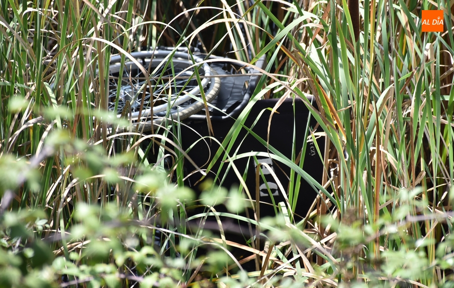 Arrojada una silla de ruedas al Canal de La Concha