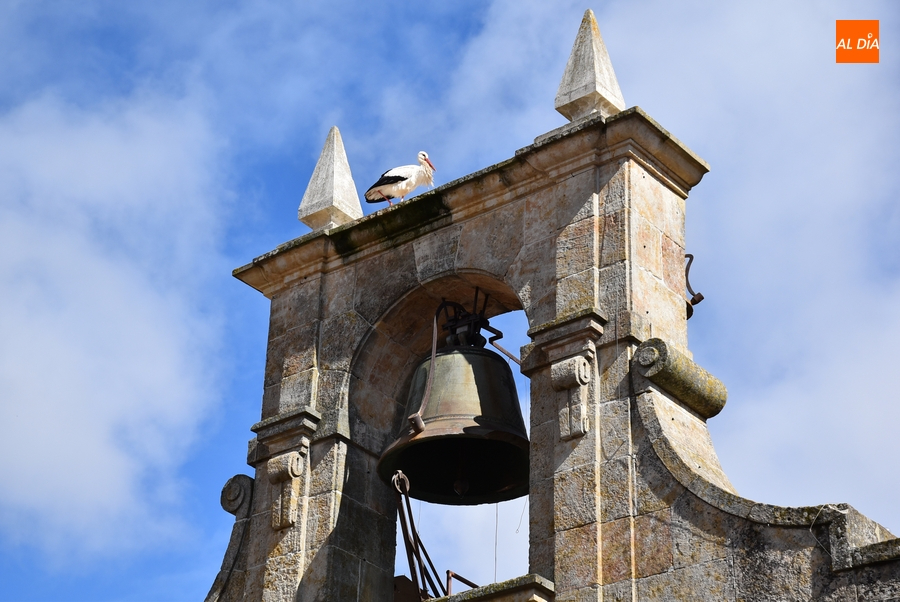 El Ayuntamiento estabilizará 20 puestos de su plantilla mediante el sistema de concurso