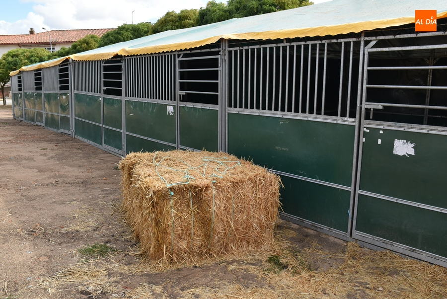 El Ayuntamiento adquiere un cuadrilongo y alquila 42 boxes para la Feria del Caballo