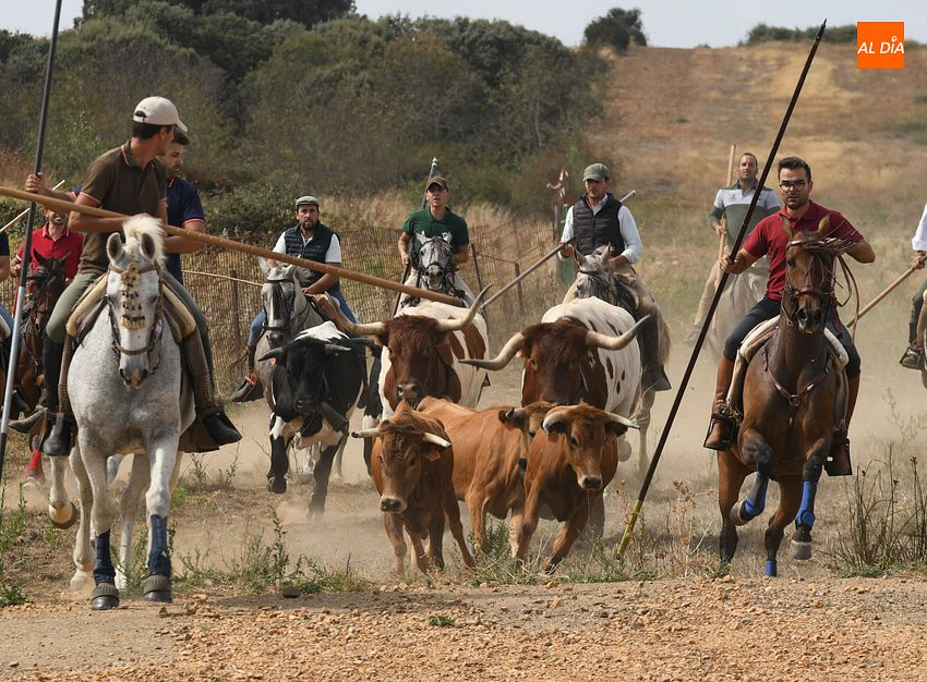 encierro a caballo aldehuela de yeltes
