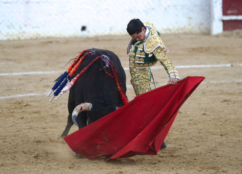 Mario Navas, triunfador del Circuito de Novilladas de Castilla y León