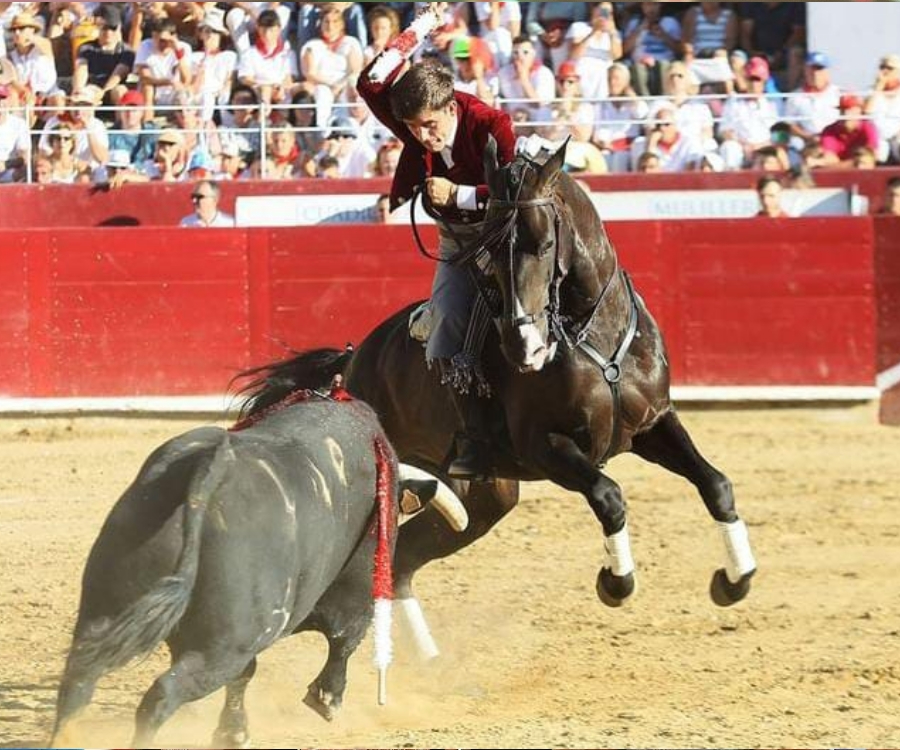 Guillermo Hermoso de Mendoza: Siempre que he toreado en Salamanca me han tratado muy bien