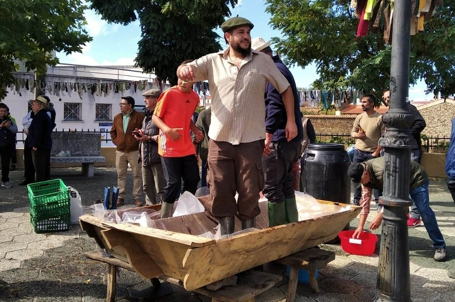 Saelices el Chico celebrará el 8 de octubre su 2ª Fiesta de la Vendimia