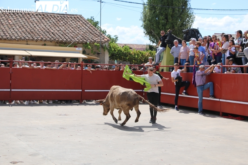 Las fiestas de Villares de Yeltes cobran acento taurino con el encierro de Orive