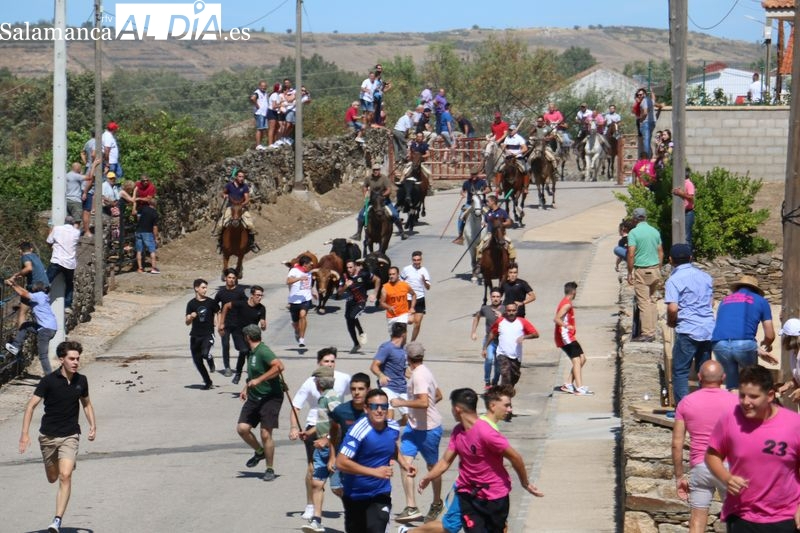  Barruecopardo apuesta por dos encierros a caballo en sus Fiestas del Toro