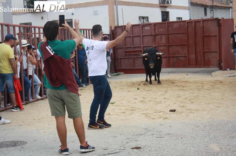 Las calles de Macotera, abarrotadas de público y aficionados para vivir el I toro de cajón en las fiestas de la virgen de la encina 