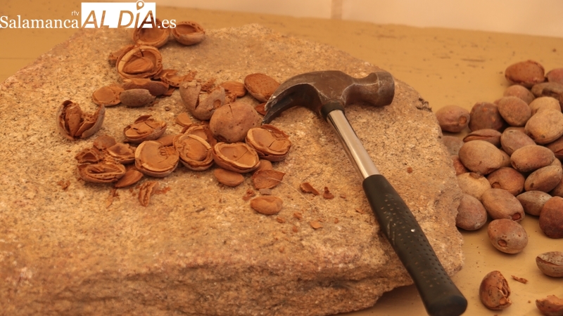 Saucelle se prepara para la 5ª Feria de la Almendra y Productos Artesanos