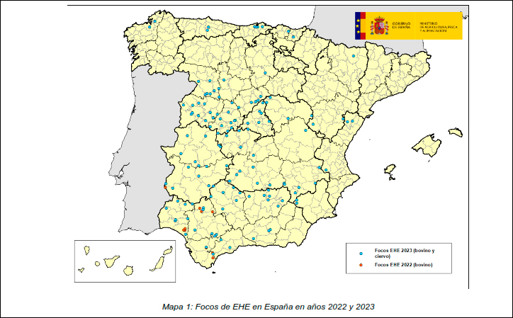 Registrados 23 nuevos focos de EHE en España desde el 11 de septiembre