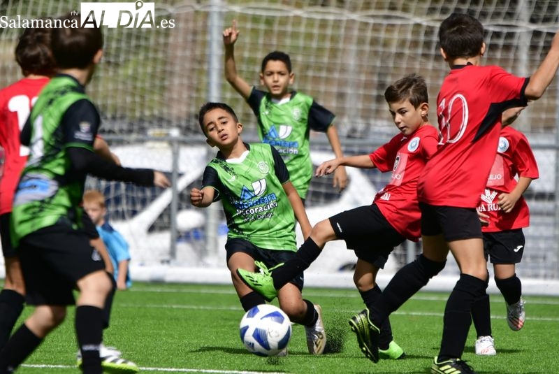 El II Memorial Roberto Sánchez Tabu repite éxito en el Reina Sofía bajo la organización del Monterrey