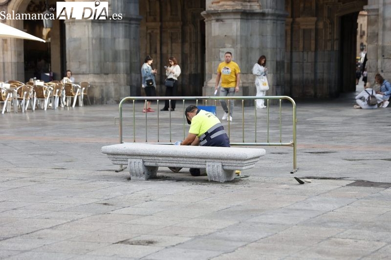 La Plaza Mayor recupera su imagen habitual