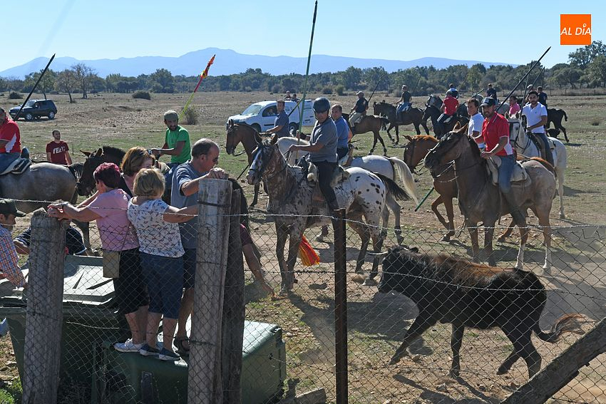 Encierro a caballo Alba de Yeltes