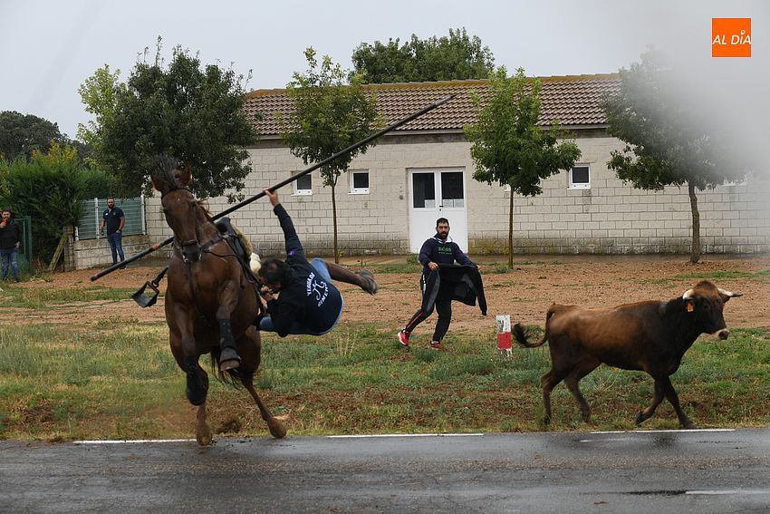 encierro a caballo aldehuela de yeltes