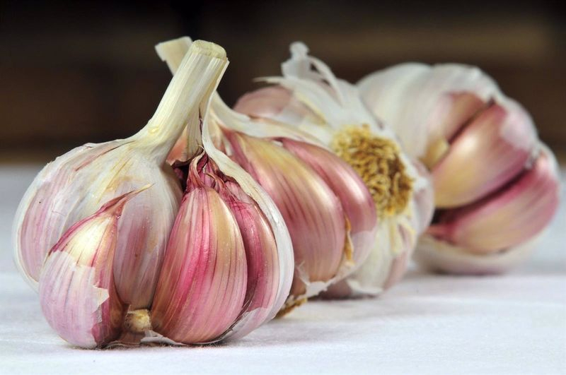 ¿Sabes cómo quitar el aliento a ajo? Con estos consejos desaparecerá totalmente