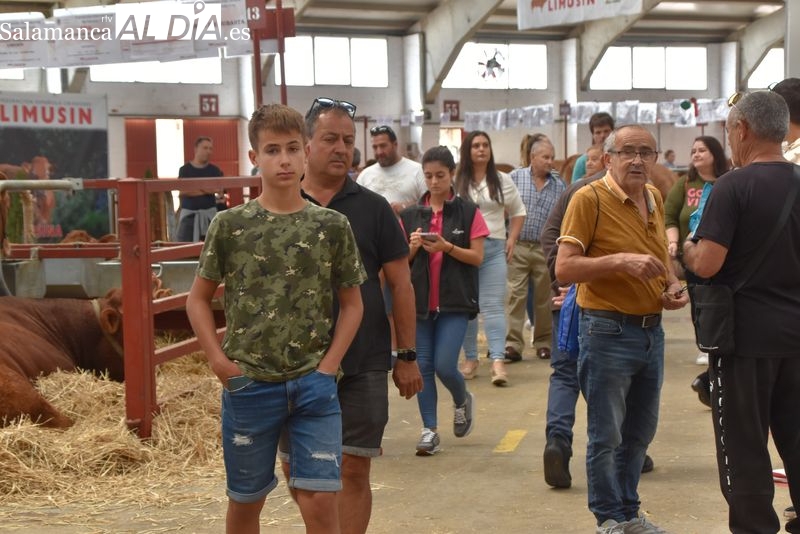 Los visitantes aumentan en Salamaq tras una mañana sin lluvia