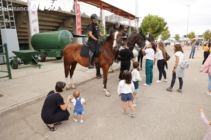 Así ha sido el trabajo de la Unidad Central de Caballería de la Policía en Salamaq