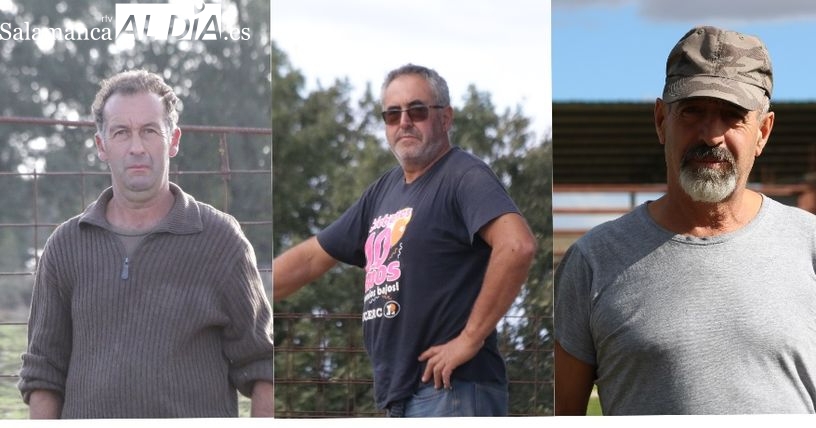 El testimonio de tres ganaderos de Las Arribes ante la nueva pesadilla del vacuno en extensivo