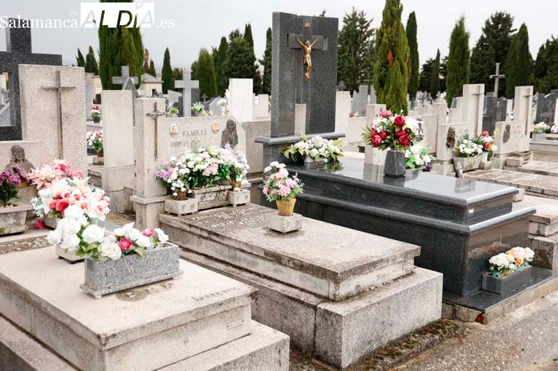 Tradición y recuerdos por el Día de Todos los Santos: horarios, servicios especiales y todo lo que necesitas saber 