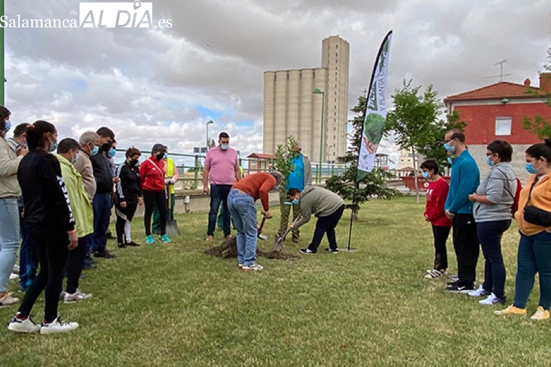 Más de 1.000 árboles se sembrarán en Peñaranda gracias a una donación