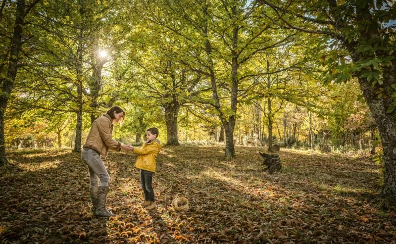 ¿Sabes lo que significa celebrar el Magosto?