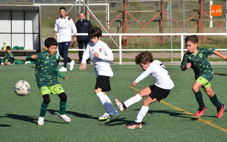 #M [28-29 OCT] El Benjamín del Ciudad Rodrigo suma su primer punto tras lograr igualar 5 desventajas