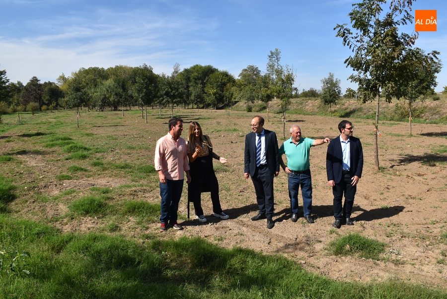 Concedida una subvención para redactar los proyectos de las 2 pasarelas y la reforma de la Moretona