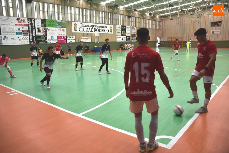 5 empresas pujan por la sustitución de las luminarias de las instalaciones deportivas