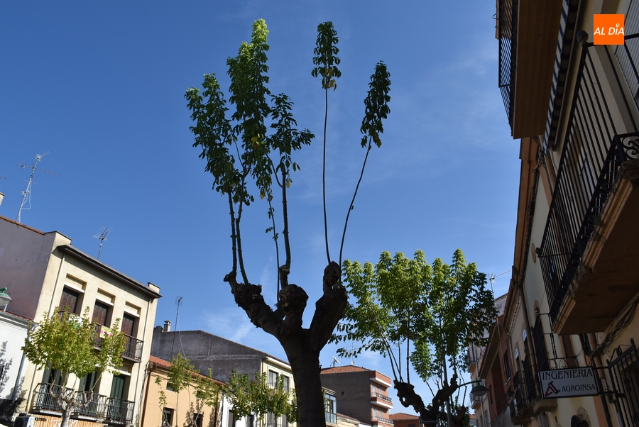1Foto: Preparados para el otoño