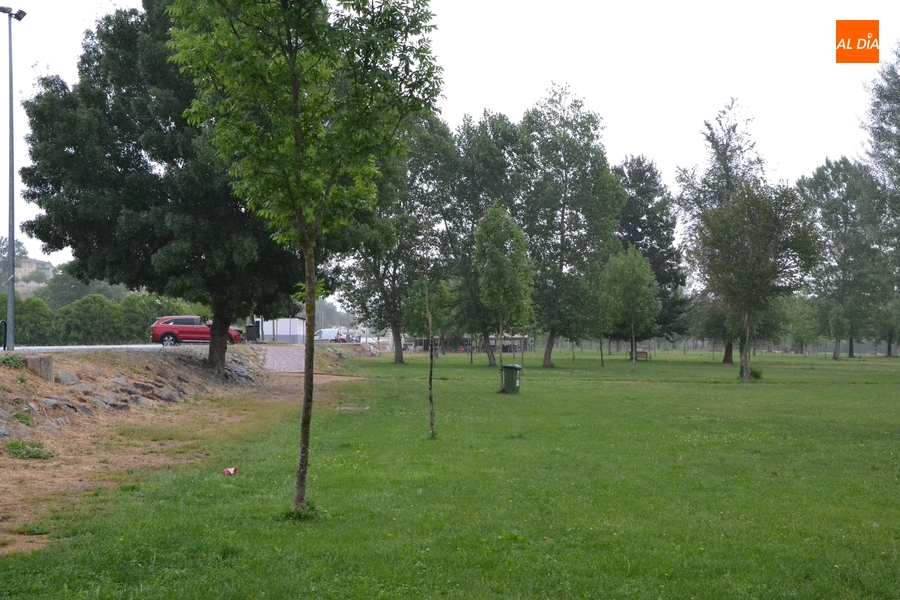 Asenavis plantará el sábado unos 90 alisos en la ribera del Águeda