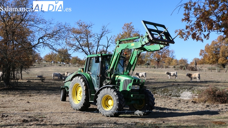 El Gobierno trasfiere a Castilla y León más de 664 millones de euros para el pago anticipado de la PAC