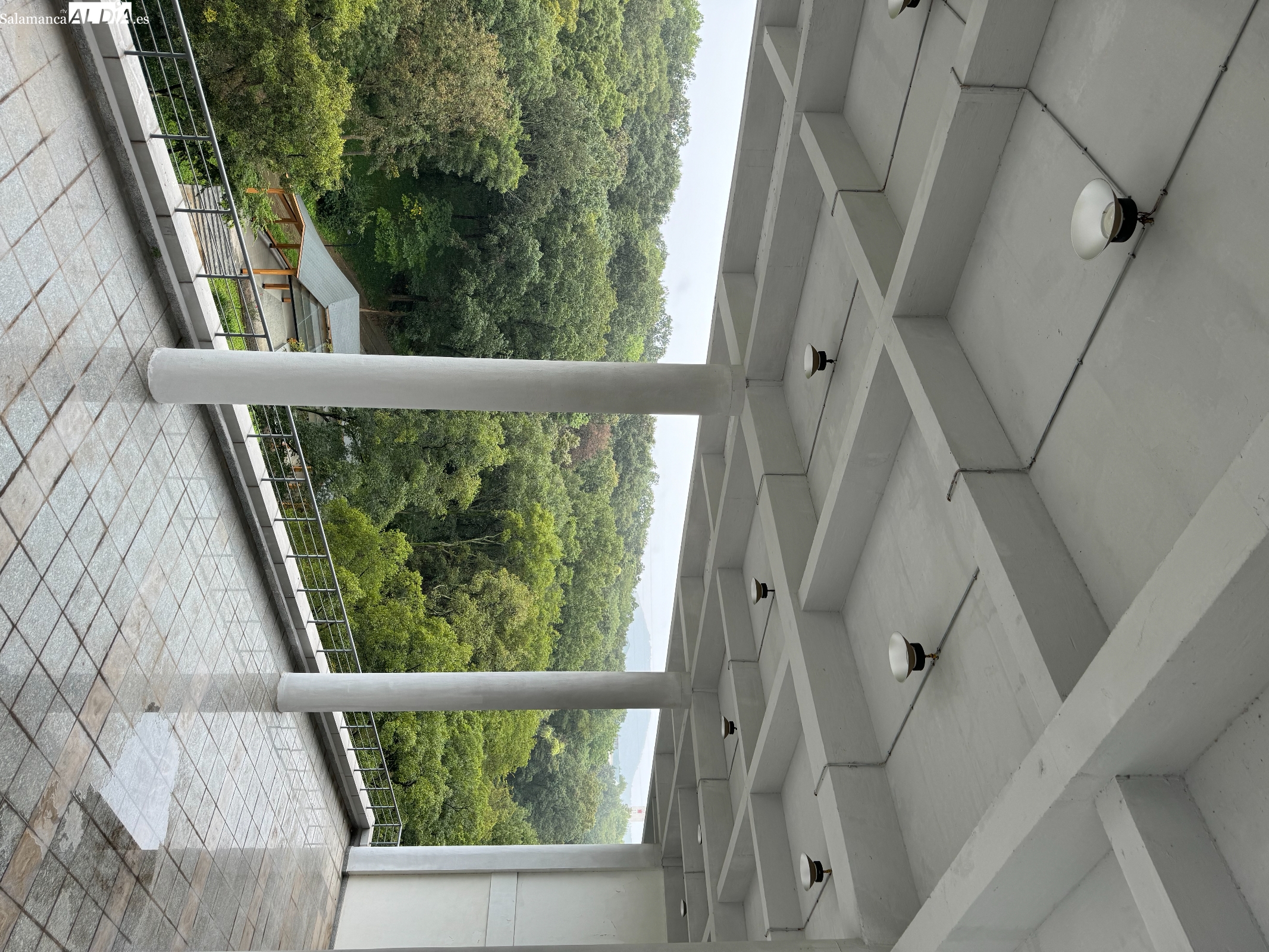 El poeta sale al balcón y mira que ha dejado de llover