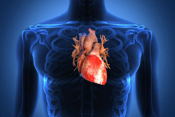 É preciso ver o mundo com o coração 