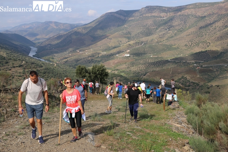 El Mirador de los Pajeros, la nueva maravilla de Hinojosa de Duero 