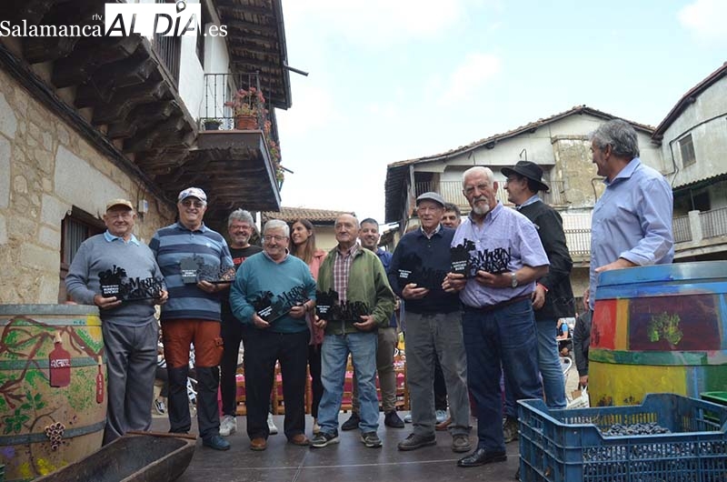 Éxito de la Fiesta de la Vendimia Tradicional en San Martín del Castañar