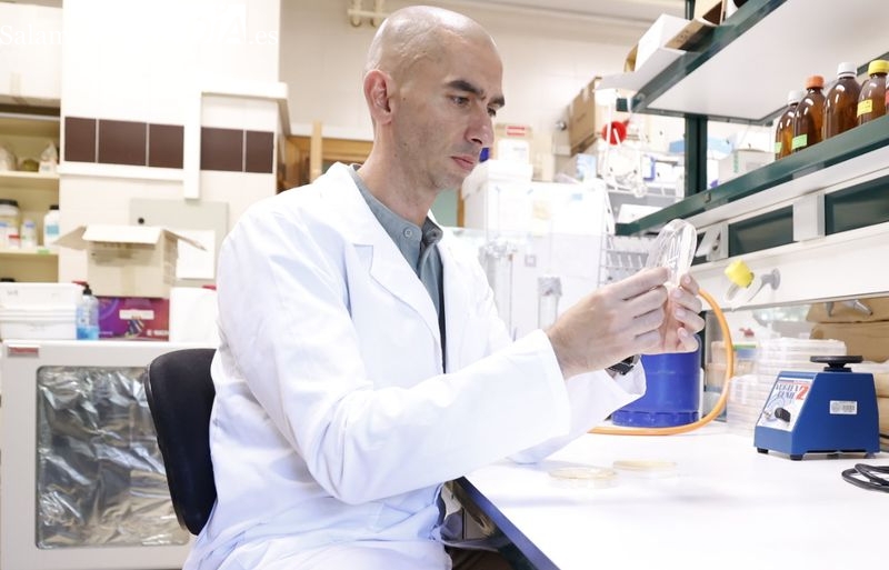 Descubre los secretos de la luz con científicos de Salamanca