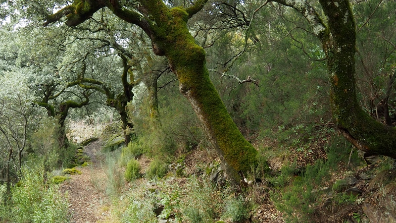 Lecciones de superación  