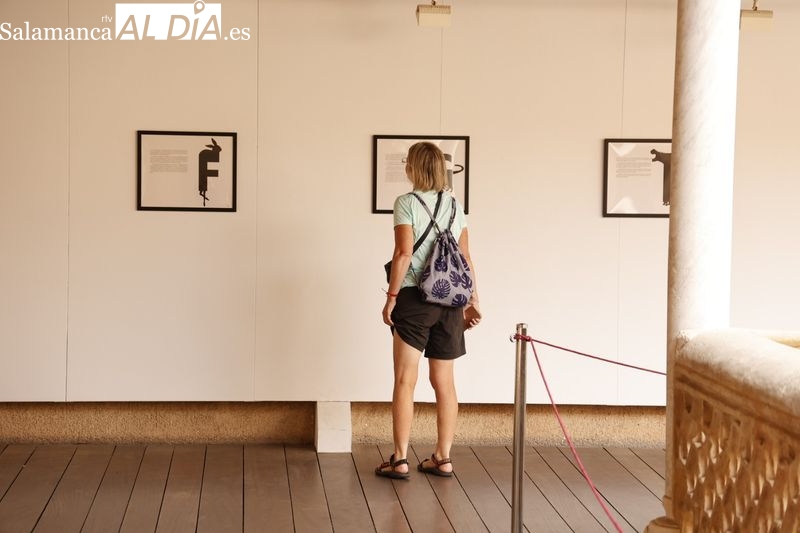 Descubre en la Casa de las Conchas el fantástico mundo de los animagramas