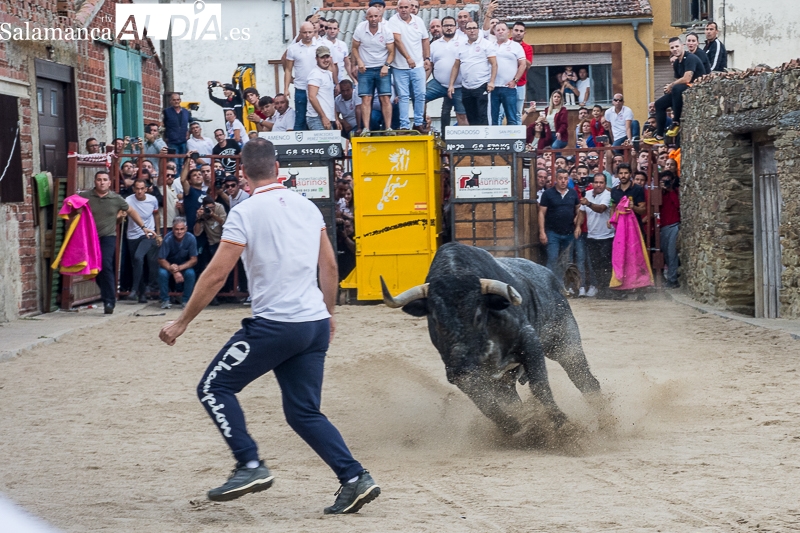El toro del cajón vuelve por sus fueros: lleno hasta la bandera