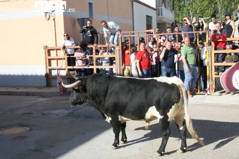 Villoria pone fecha al Toro del Voto 2024