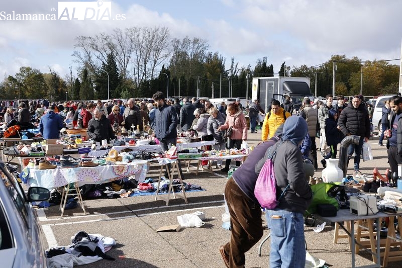Buen ambiente este domingo en el Rastro y la ribera del Tormes