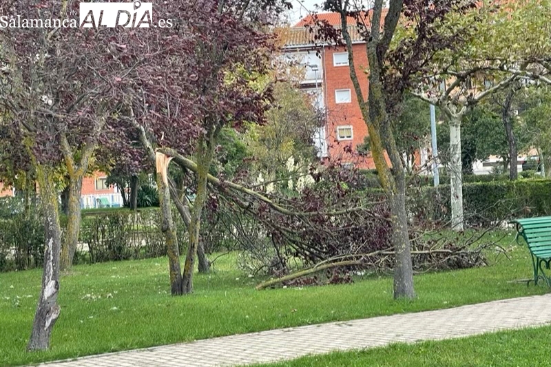 La borrasca Ciarán deja su huella y mantiene la alerta en Peñaranda