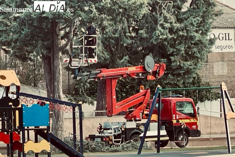 Los Bomberos de Peñaranda realizan cinco actuaciones de urgencia por el paso de ‘Ciarán’ y ‘Domingos’